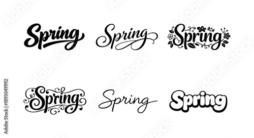 Harmonious Spring Lettering. Spring. Set lettering. harmonious lettering variations of the same emblematic concept, each with different artistic interpretation