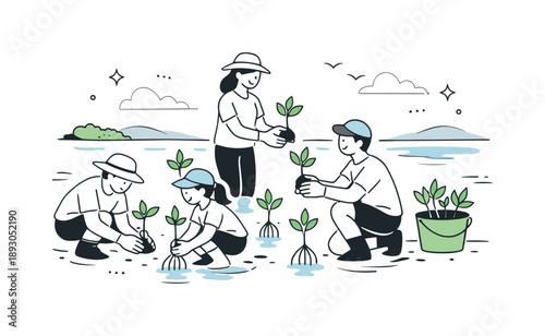 Mangrove Planting Together. Mangrove restoration. Volunteers planting young mangrove trees along a calm shoreline, working together with gentle movements. The