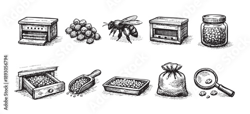 Detailed hand drawn illustration of bee pollen, bee, beekeeping tools and other equipment for harvesting pollen, shown in black and white.