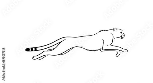 Black white line drawing cheetah running pose side view