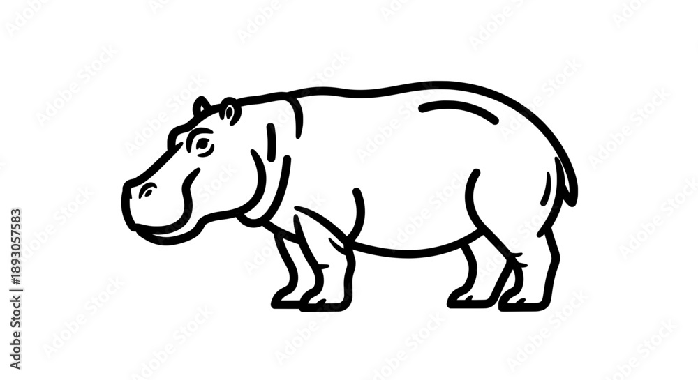 Obraz premium Black white line drawing hippopotamus standing facing left
