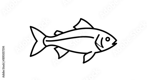 Black and white line drawing of fish with pointed snout and fins