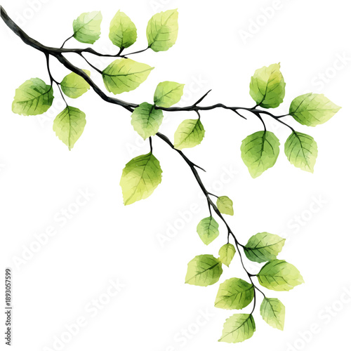 New Green Leaves On Branches, playful watercolor vector depicting lively antics and expressive gestures, isolated on a white background.