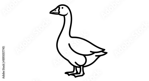 Black and white line drawing of a standing goose with spread wings