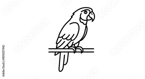 Minimalist line drawing of parrot perched on branch facing right