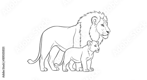 Black and white line drawing of mother lion with cub resting on her back
