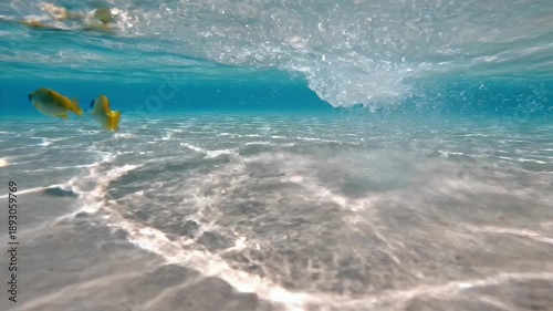 Underwater scene with fish swimming in the clear ocean water and sandy bottom.