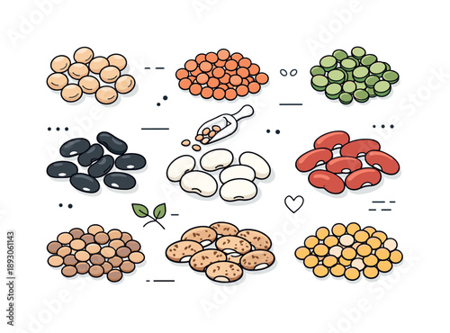 Colorful Legume Assortment. Dry legumes assortment. Flat lay of beans and lentils sorted by type and color, clarity and healthy nutrition concept. Clean