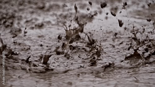 Splashing Mud - Capturing the Dynamic Beauty of Water and Earth Interaction.