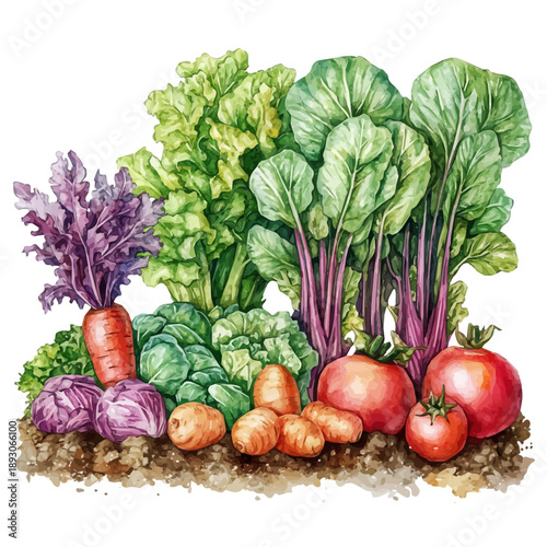 Growing Vegetables In Spring, charming watercolor clipart, isolated on a white background.