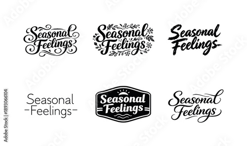 Seasonal Lettering Styles. Seasonal Feelings Word Art. Set lettering. harmonious lettering variations of the same emblematic concept, each with different