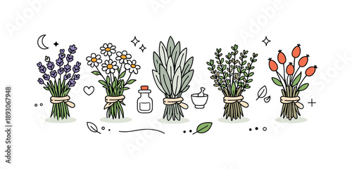 Herbal Collection Illustration. Herbal dried plants collection. Small bundles of herbs placed side by side, showing natural ingredients and home remedy