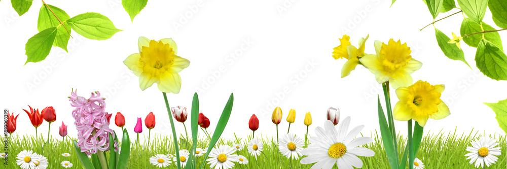 Fototapeta premium Frühling 3