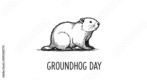 Groundhog Day Illustration Featuring a Groundhog.