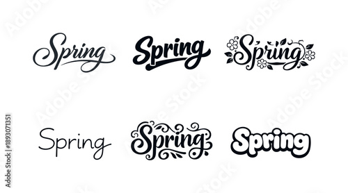 Spring Lettering Variations. Vector Lettering Spring. Set lettering. harmonious lettering variations of the same emblematic concept, each with different