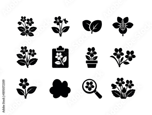 Botanical Violet Icons. Botanical violet. Solid icon set of Botanical violet: botanical illustration, plant stem, leaf pair, flower anatomy, herbal plant,