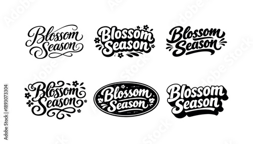 Blossom Season Lettering. Blossom Season. Set lettering. harmonious lettering variations of the same emblematic concept, each with different artistic