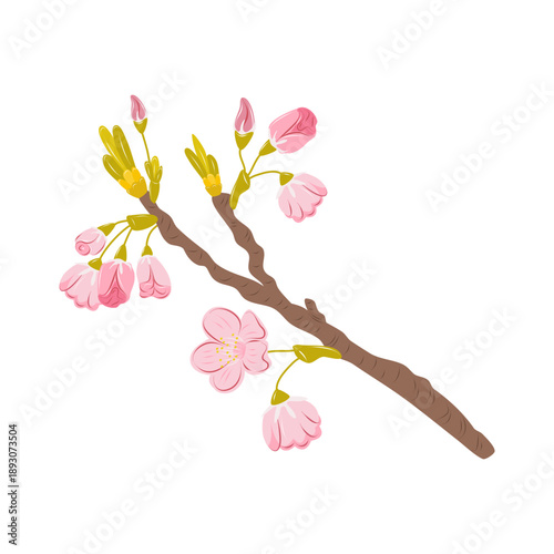 Cartoon cherry blossom branch with pink flowers isolated on the white background. Sakura clipart perfect for spring themed designs.