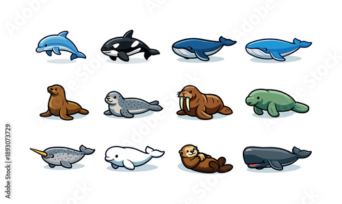 Marine Mammals Icon Set. marine mammals. Colorful isometric vector icons set of marine mammals: dolphin, orca, humpback whale, blue whale, sea lion, harbor