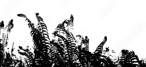 Abstrakter Hintergrund in schwarz und weiß, künstlerisch und modern