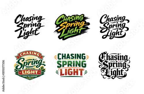 Artistic Lettering Grid. Chasing spring light. Set lettering. harmonious lettering variations of the same emblematic concept, each with different artistic