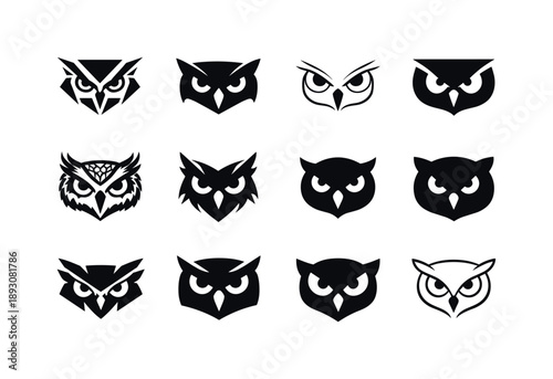 Predatory Bird Logos. Predatory birds. Icon set. Set Logo of predatory birds: owl frontal stare. harmonious logo variations of the same emblematic concept,