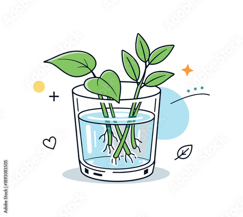 Calm Botanical Cuttings. Plant cuttings in glass. Fresh green plant cuttings placed in a clear glass with visible water, calm indoor gardening mood. Soft