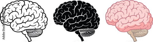 Wallpaper Mural Brain, Illustration Poster, human brain line art, detailed neural texture Torontodigital.ca