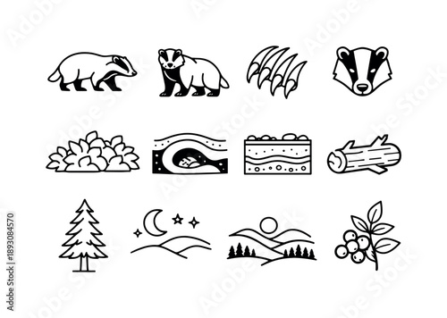 Outline Wild Badger Icons. Wild Badger. Line icon set of Wild Badger: badger walking, alert badger pose, claws, striped face, forest bushes, underground
