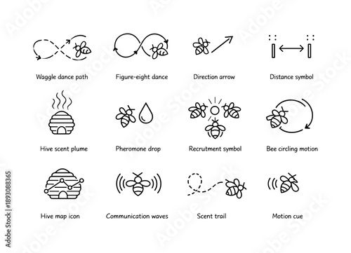 Bee Communication Icons. How bees make honey. Line icon set of bee communication: waggle dance path, figure-eight dance, direction arrow, distance symbol, hive