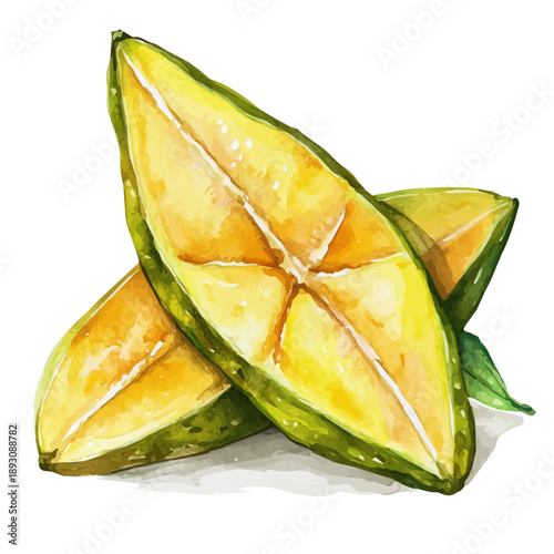 Carambola Starfruit, watercolor illustration featuring soft shadows and luminous, isolated on a white background.