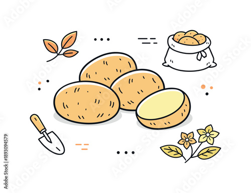 Minimalist Potato Art. Rustic potato still life. Minimal flat lay of potatoes with light texture marks, natural harvest feeling and simplicity. Clean