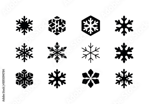 Snowflake Icon Variations. Snowflake formation. Icon set. Set Logo of snowflake formation: winter ice symmetry. harmonious logo variations of the
