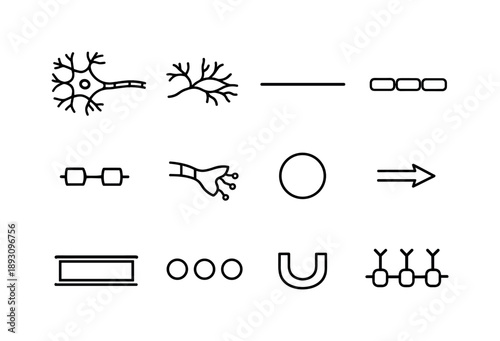 Neuron Line Art. Neuron Structure. Line icon set of Neuron Structure: neuron outline, dendrite branches, axon fiber, myelin segments, nodes of Ranvier,
