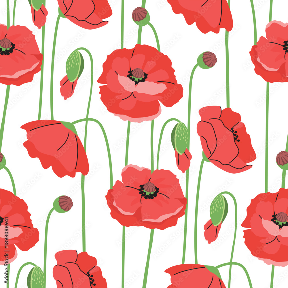 Obraz premium Blooming poppies seamless pattern. Wild flowers red color with green stems on white background. Botanical print on fabric and paper. Vector design for textile, endless wallpaper, cover. Spring season.