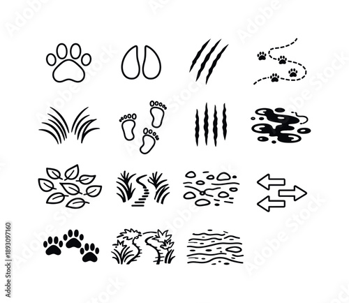 Animal Track Icons. Animal tracks and paths in forests and jungles. Line icon set of Animal tracks and paths in forests and jungles: paw print, hoof print,