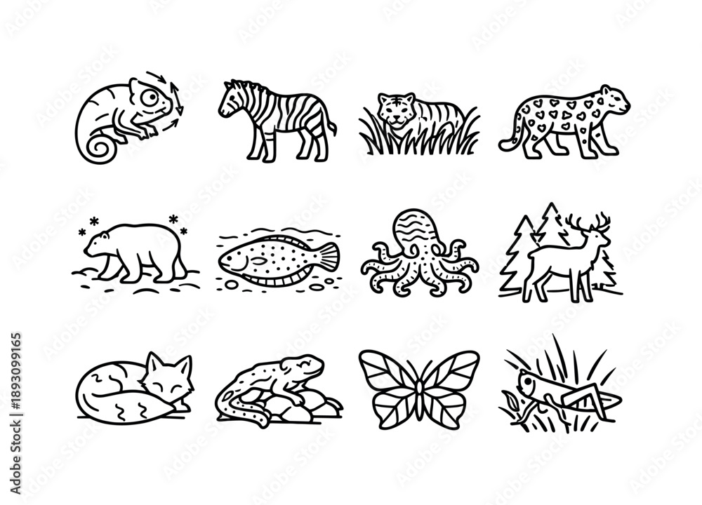 Fototapeta premium Animal Camouflage Icons. Animal Camouflage. Line icon set of Animal Camouflage: chameleon color change, zebra stripes, tiger grass blend, leopard spots, polar