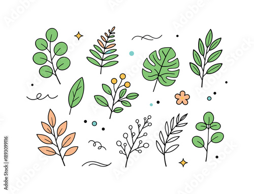 Botanical Leaf Art. Botanical leaf illustrations. Individual leaves and branches shown separately with clear silhouettes and light variation. Educational and