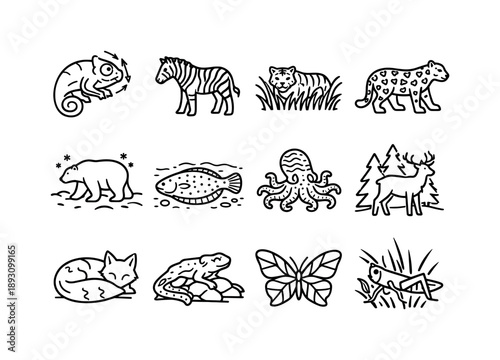 Animal Camouflage Icons. Animal Camouflage. Line icon set of Animal Camouflage: chameleon color change, zebra stripes, tiger grass blend, leopard spots, polar