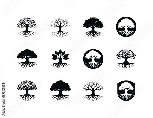 Ancestral Tree Logos. tree with deep roots. Icon set. Set Logo of tree with deep roots: ancestral tree. harmonious logo variations of the same emblematic