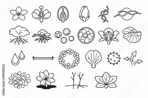 Parasitic Angiosperm Icons. Line style icons of parasitic angiosperms without stems or leaves: flower outline, petals, stigma and