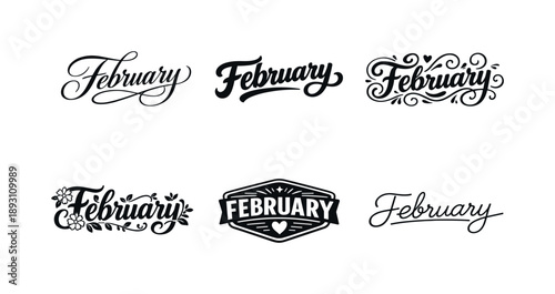 February Lettering Variations. February. Set lettering. harmonious lettering variations of the same emblematic concept, each with different artistic