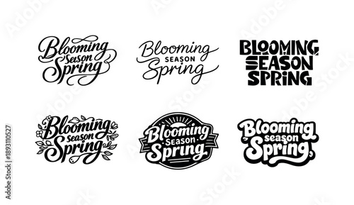 Spring Typography Variations. Blooming season spring typography. Set lettering. harmonious lettering variations of the same emblematic concept, each with