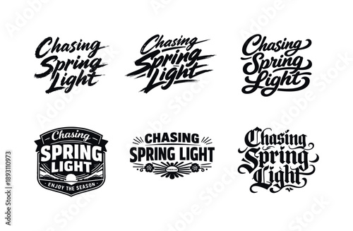 Artistic Lettering Grid. Chasing spring light. Set lettering. harmonious lettering variations of the same emblematic concept, each with different artistic