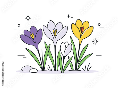 Minimal Crocus Illustration. Crocus blossom spring illustration. Modern minimal crocus flowers arranged in a balanced composition, expressing freshness and