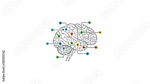 Brain with colorful neural connections.