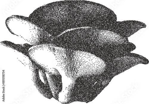 Mushroom y2k retro stipple art shroom brutalist halftone vector png transparent, fungi 2000s photocopy effect tattoo aesthetic