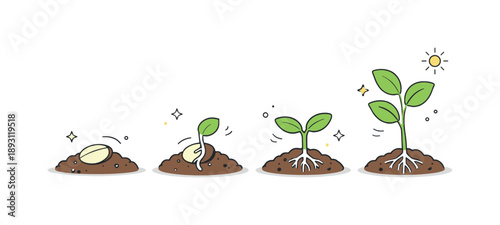 Seed to Sprout. Seed to plant growth cycle. A small seed rests in soil and begins to sprout, showing the first roots and leaves emerging. Calm natural process,