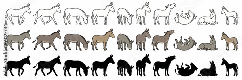 Donkey Vector Icon Set with Outlines, Flat Colored Vectors, and Solid Black Silhouettes, Burro and Foal Illustrations for Agriculture, Farm, and Wildlife Design