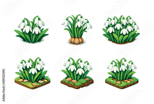 Snowdrop Icon Grid. Snowdrops cluster. Isometric flat vector icons set of snowdrops cluster: group of snowdrop flowers, overlapping stems, layered white